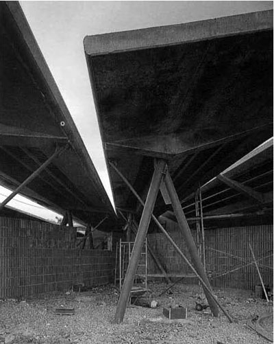 miralles-pinos-tiro con l'arco