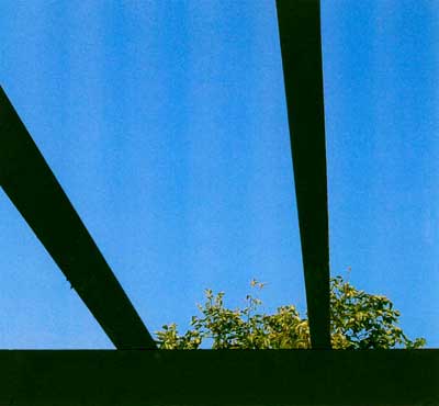 florio-sky