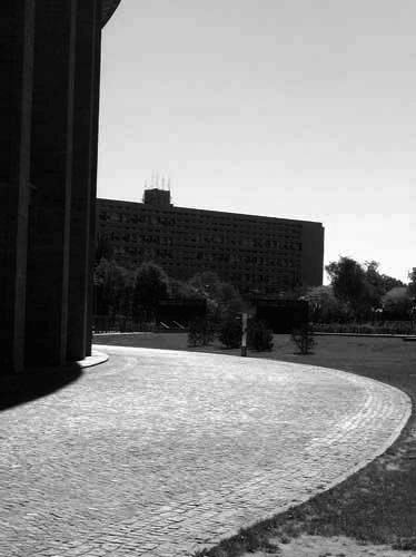img_9551.gif