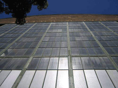 img_9591.gif